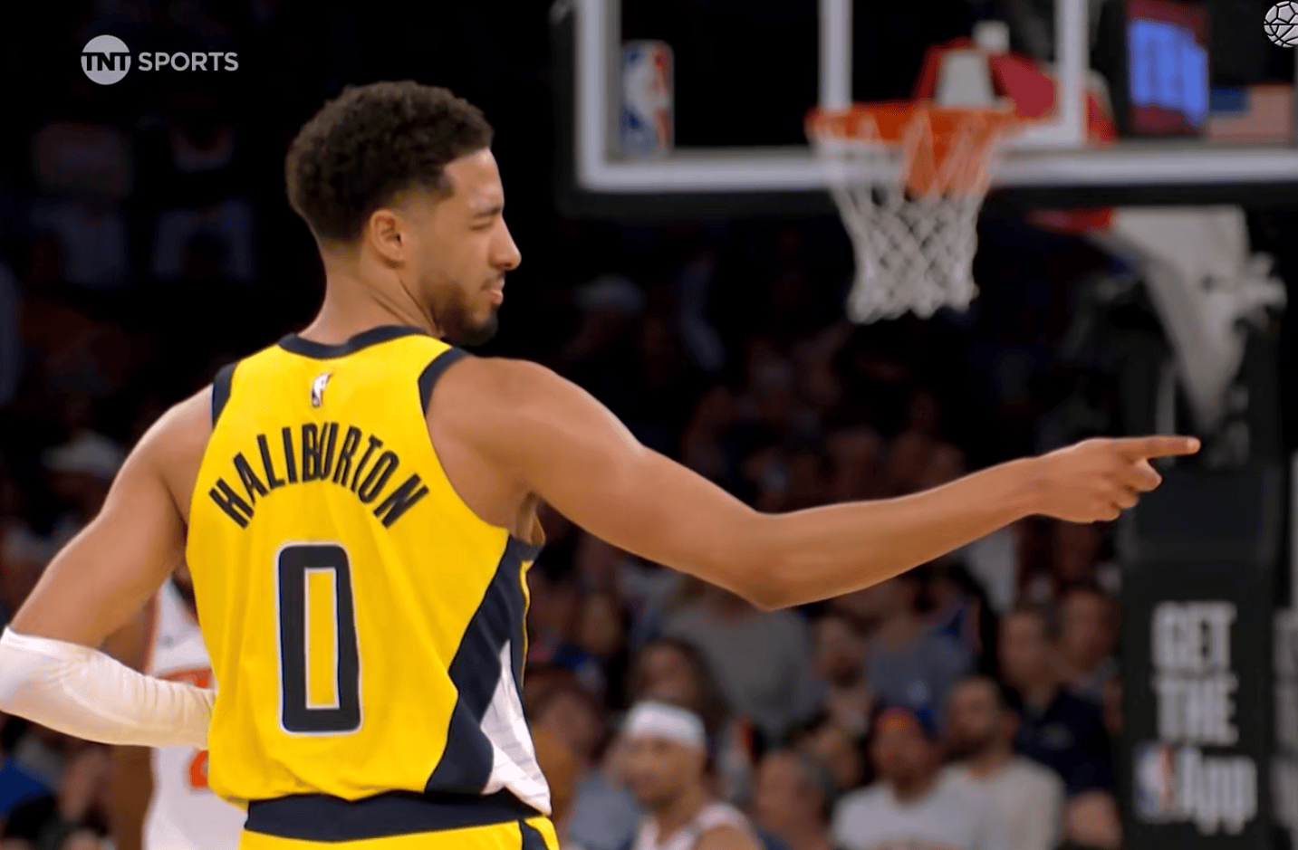 纽约尼克斯阵容 纽约尼克斯阵容