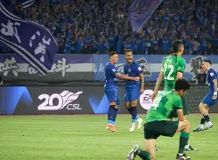 ac米兰中文官方网站-倒排工期横断图免费模板